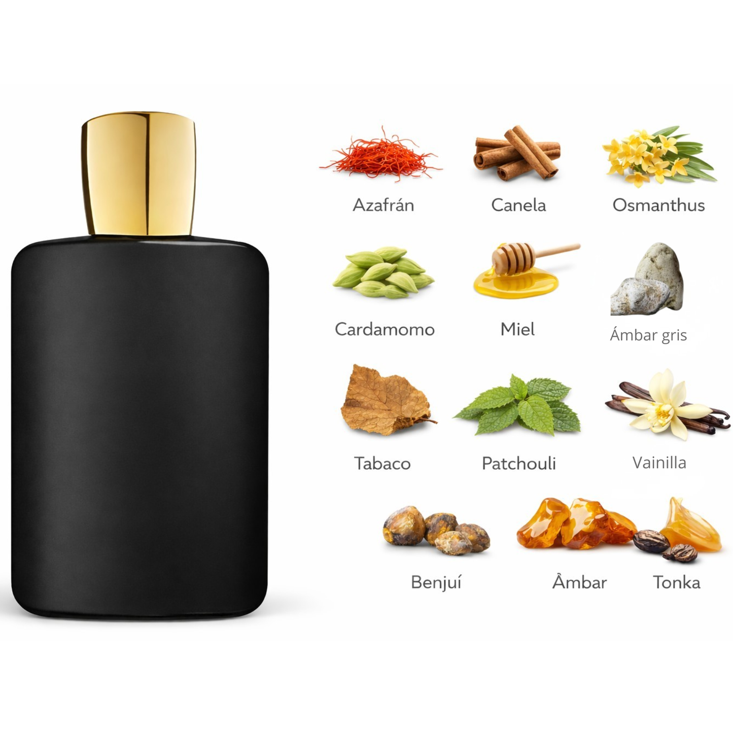 🍯🔥🧱 Oajan – Lucy Trendy Unisex