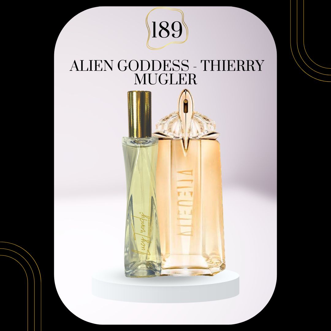 Trendy Perfume Dupes V3