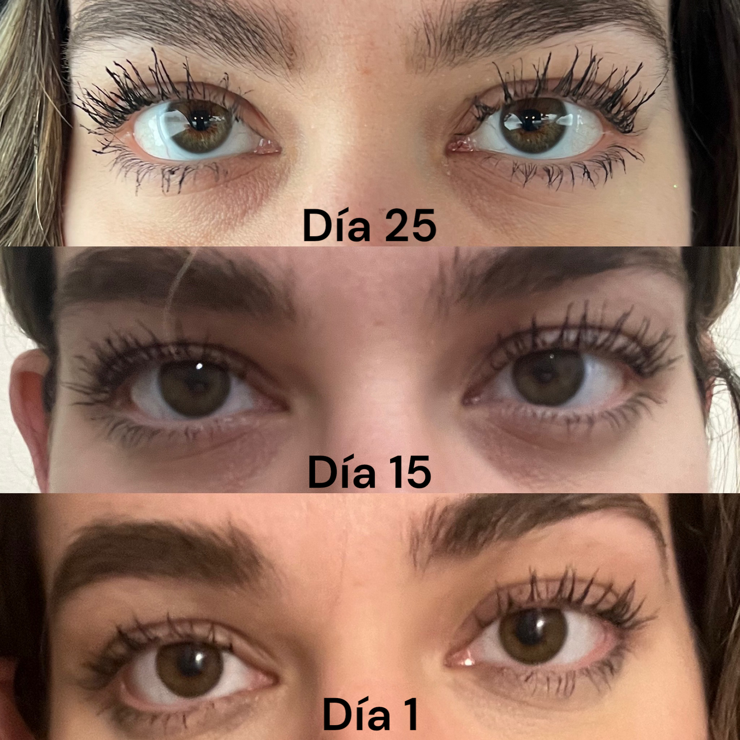 Trendy lash