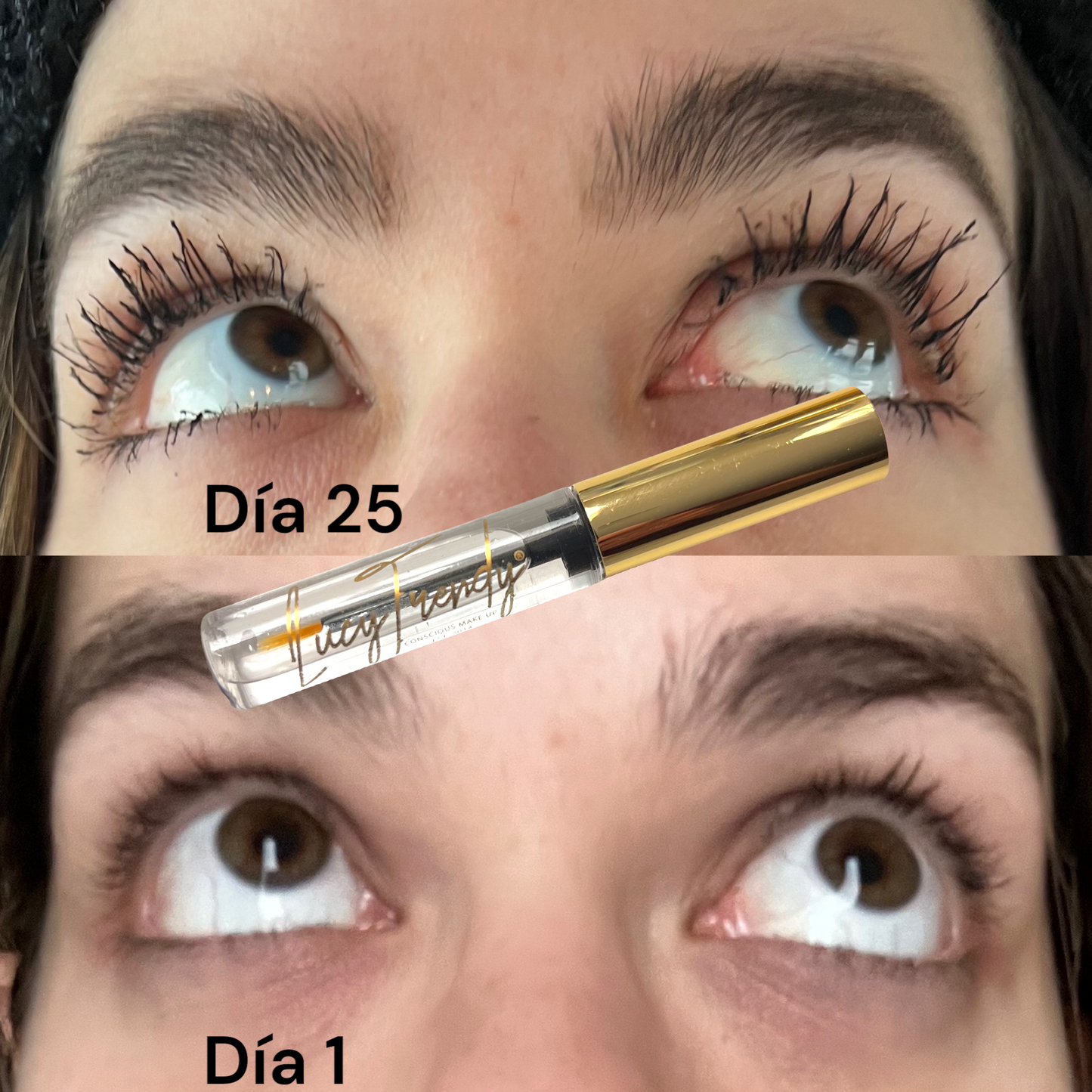 Trendy lash