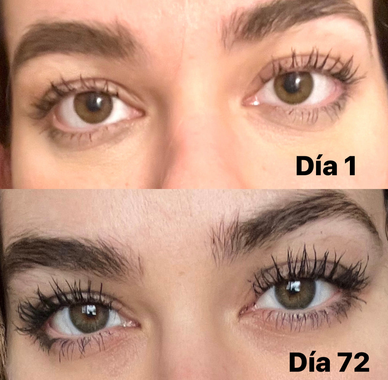 Trendy lash