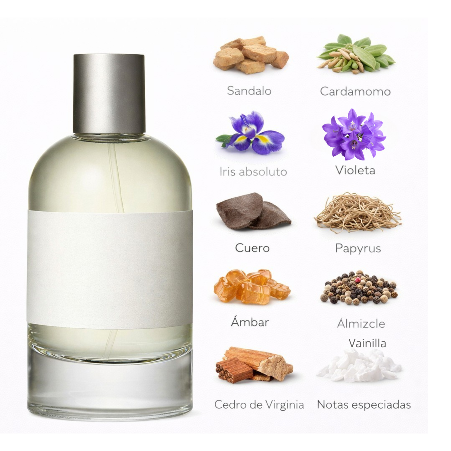 🪵🔥🌿 Santal 33 – Lucy Trendy Unisex