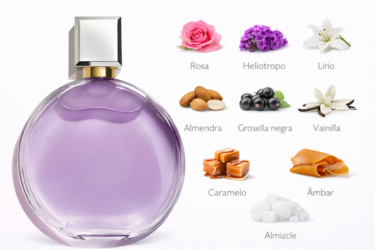 🌸✨💫 Chance Splendide – Lucy Trendy Dama