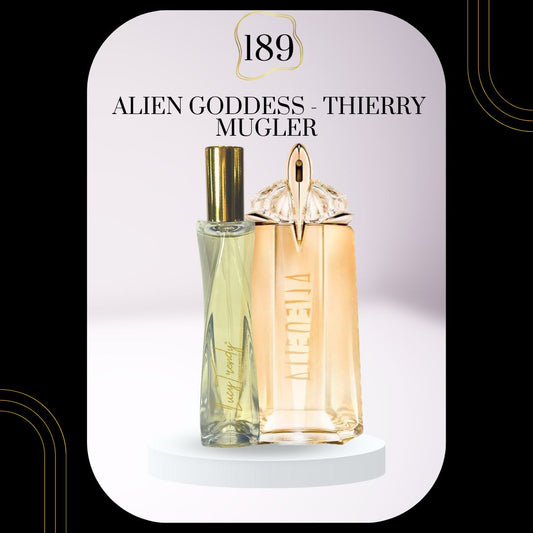 Trendy Perfume Dupes V3